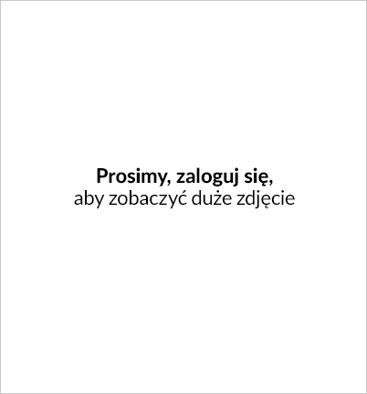 IAI Downloader 1.9 i możliwość zaznaczania wszystkich kategorii