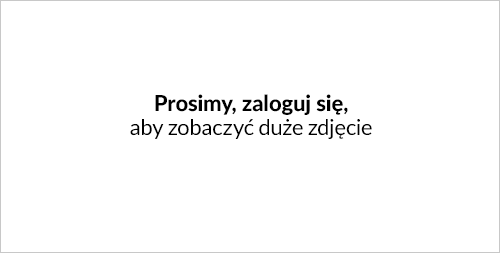 menu sklepu IdoSell