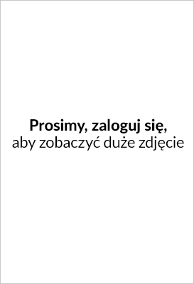 Moduł Pakuj zamówienie / Podgląd wykonanego zdjęcia spakowanych towarów przed wysyłką do panelu