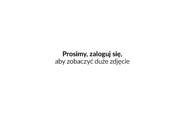 Nowe okno wydruku dokumentów