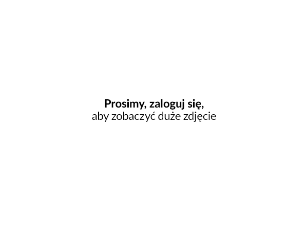 Archwium