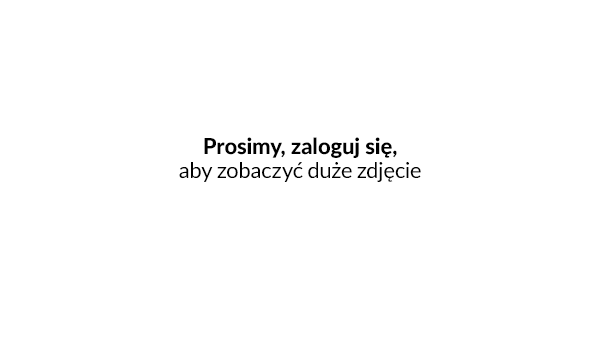 Wybór języka interfejsu IAI POS Server