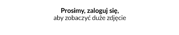 Informacja na karcie zamówienia w panelu administracyjnym IdoSell - Informacja na karcie zamówienia w panelu administracyjnym IdoSell - zamówienie zaakceptowane przez Klarna