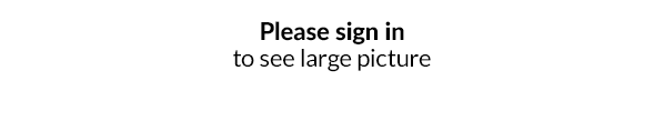 separate numbering