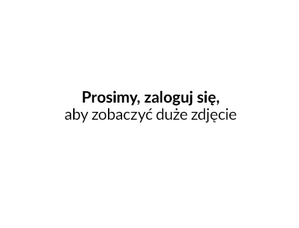 Konfiguracja bazy danych