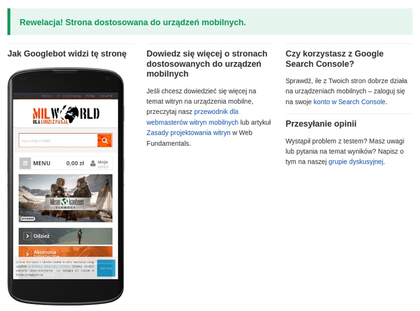 Optymalizacja sklepu pod Google - wersja mobilna