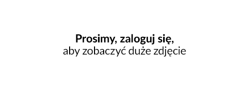 Grupowa aktualziacja parametrów - Grupowa aktualizacja parametrów dla aukcji