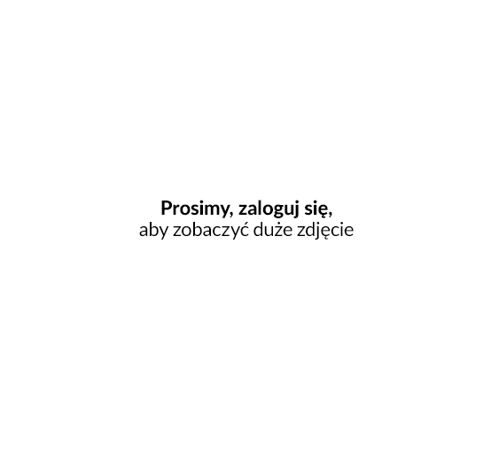 Możliwość zmapowania gwarancji. - Możliwość zmapowania gwarancji.