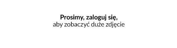Przesyłki zagubione, IdoSell, Integracje, Kurierzy