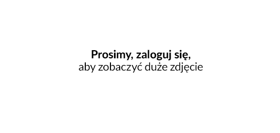 Możliwość definiowania wielu drukarek - IAI Printer umożliwia definiowanie wielu drukarek dla dokumentów sprzedaży