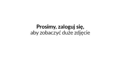 Okno z listą zdefiniowanych drukarek - Okno z listą zdefiniowanych drukarek dla dokumentów sprzedaży