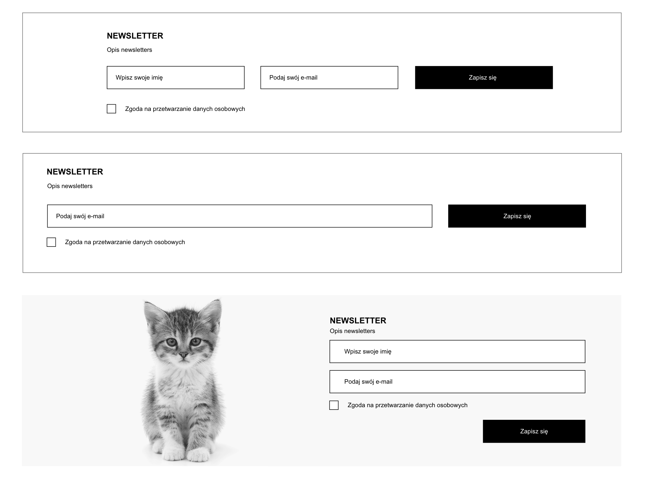 komponent-newslettera