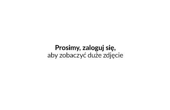 wydruk etykiet z kodami kreskowymi z karty towaru