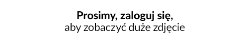 Język interfejsu użytkownika w IAI POS Serwer