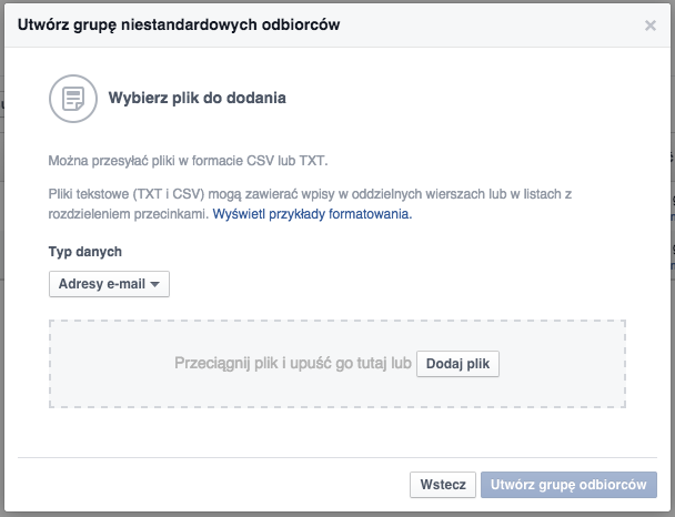 Import bazy klientów na Facebook - Formularz dodawania danych do tworzenia grup odbiorców niestandardowych na Facebook-u