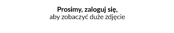 zmienne meta title
