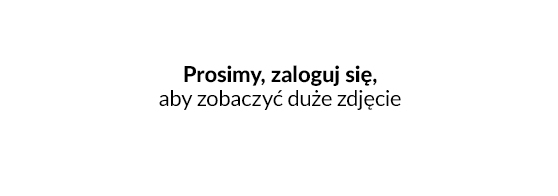 Przekazywanie różnych cen rozmiarów do Google Shopping
