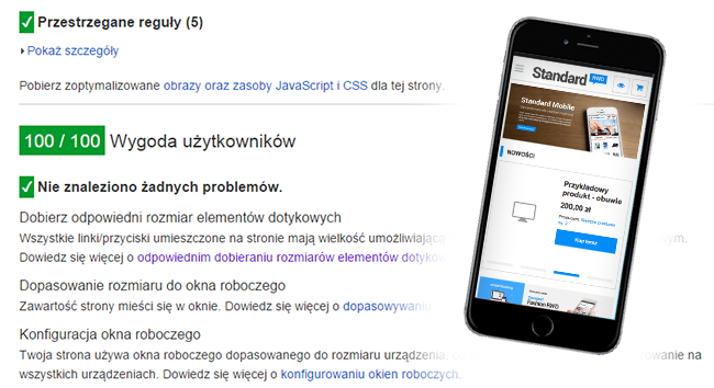 wyniki testów google webspeed - wyniki testów google webspeed