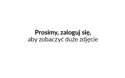 tagi allegro