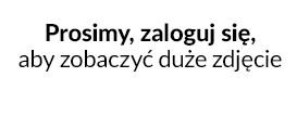Pierwsze działania promocyjne po uruchomieniu sklepu internetowego