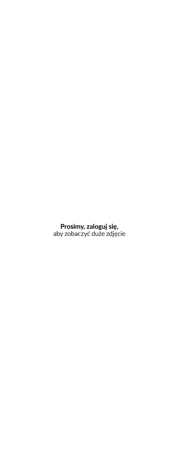 Dokumentacja API - Strona główna