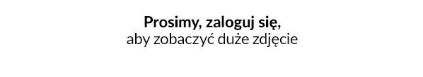 Uzupełnienie warunków oferty w profilach ustawień aukcji