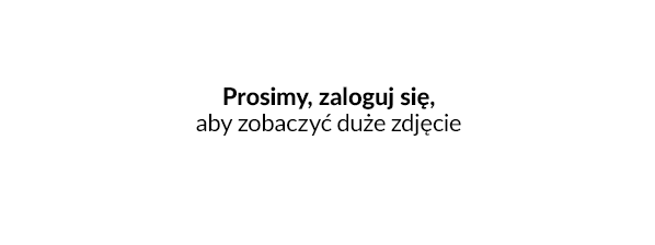 Podgląd Kampanii Rabatowych na DobreKody.pl - Podgląd Kampanii Rabatowych na DobreKody.pl