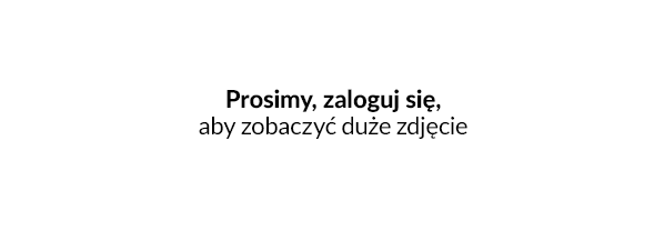 Lista kolumn w raporcie menadżerskim dla RMA po zmianach