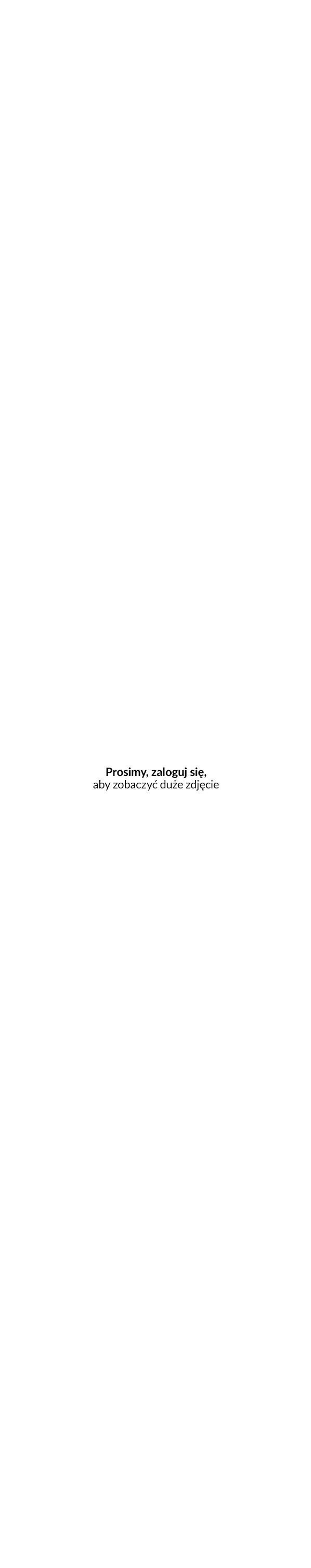 Przykładowa aukcja z nowym opisem - źródło: allegro.pl