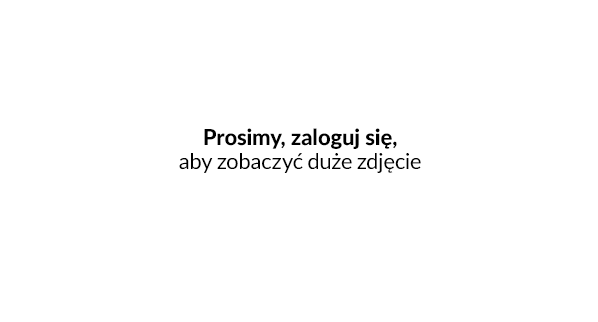 widok modułu administracj - CSS, IdoSell, docker, Integracja, IAI-SA