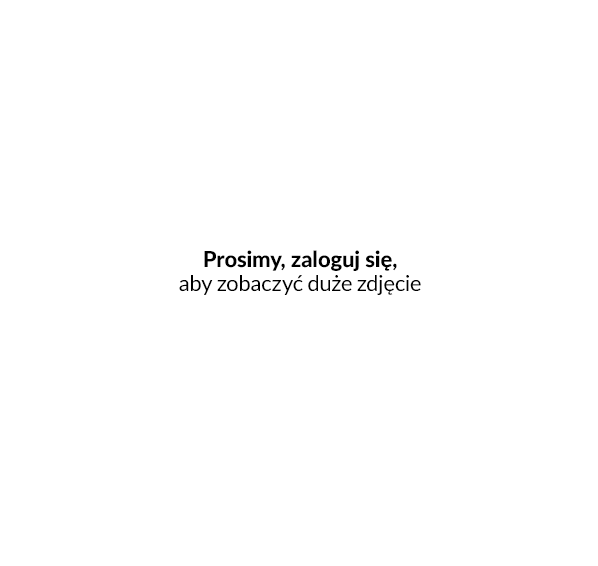 Wyszukiwanie po kategorii IAI