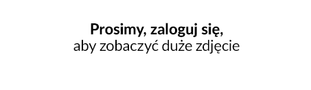 IdoSell Shop, Przelewy24, Intergracja, karty płatnicze, e-commerce