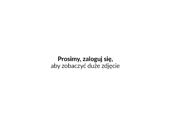 Tuż po uruchomieniu świeżo zainstalowanej aplikacji w wersji 6.1 zobaczysz stosowny komunikat inform
