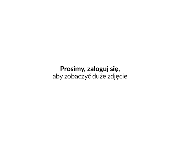 Wejście w okno "Zaawansowane" umożliwia wybór scenariusza działania.