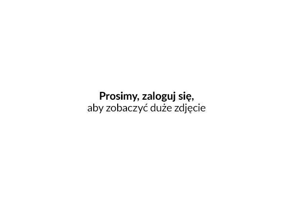 Filtr towarów błędnych.
