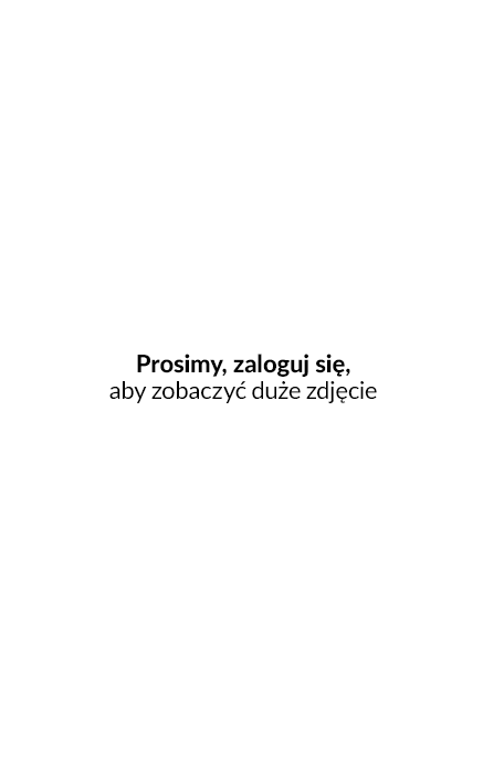 Potwierdzenie dostępu z Google