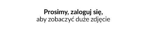 Przykład konfliktu 2 - ustawienie w IAI Bridge - Przykład konfliktu 2 - ustawienie w IAI Bridge