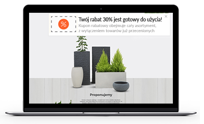 Powiadomienia Web Push w komputerze