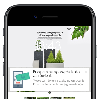 Powiadomienia Web Push w telefonie