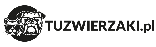 Logo TuZwierzaki