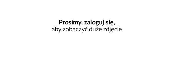 Dokumenty dla zamówienia - Dokumenty dla zamówienia
