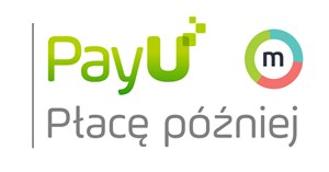 największy polski operator płatności online