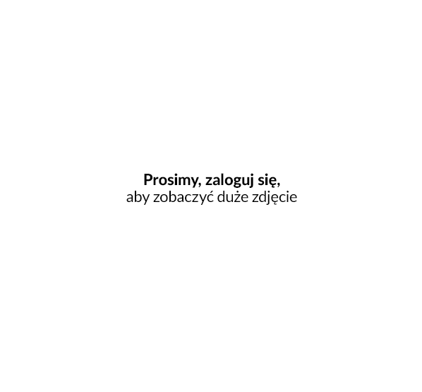 Edycja faktury VAT w edytorze WYSYWIG